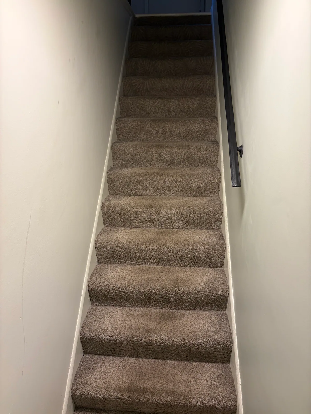Carpeted staircase before flooring installation